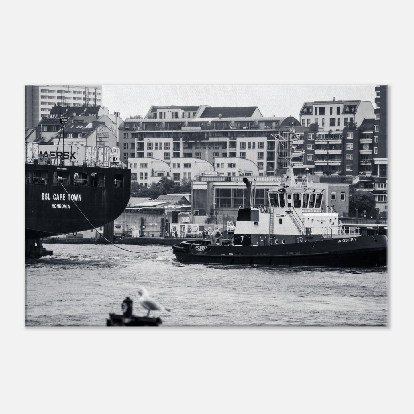 00f25833-72db-4b72-847d-5b99513f3a60