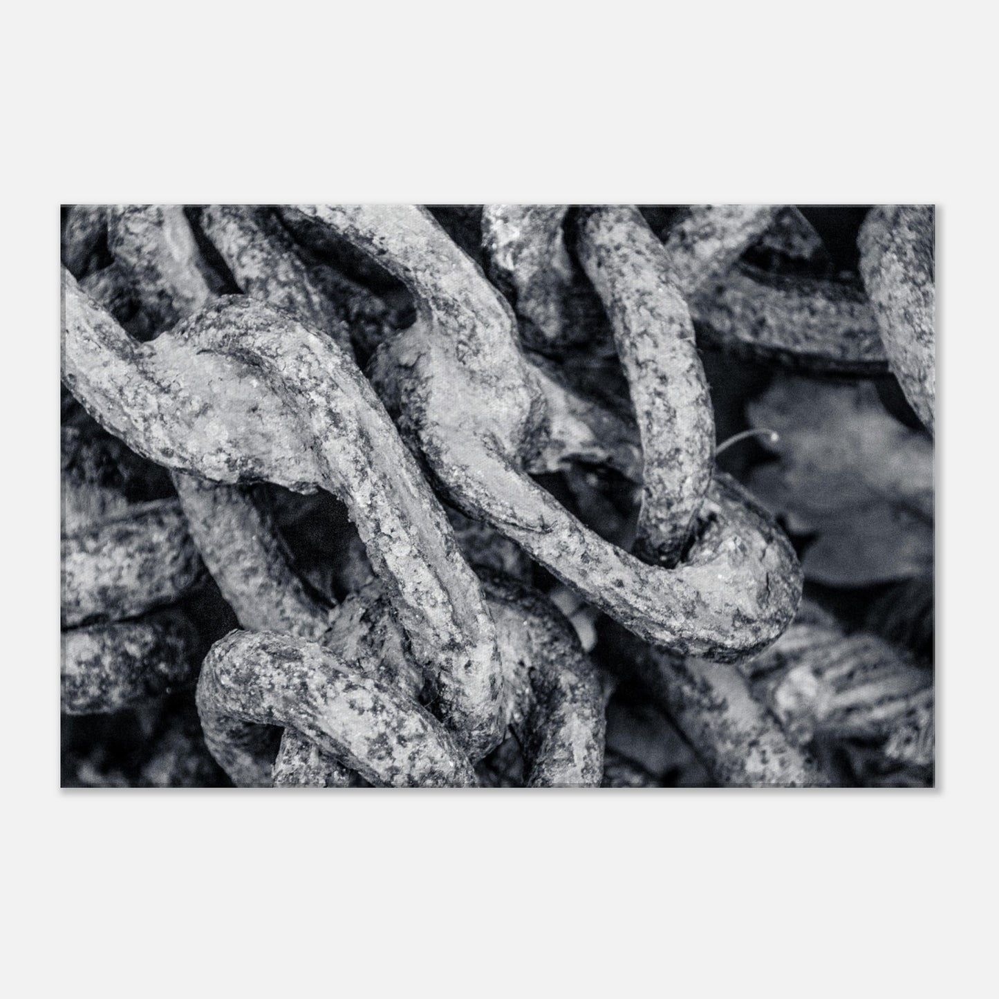 06d9b814-e637-4f36-b37f-f4eaedfcbb94