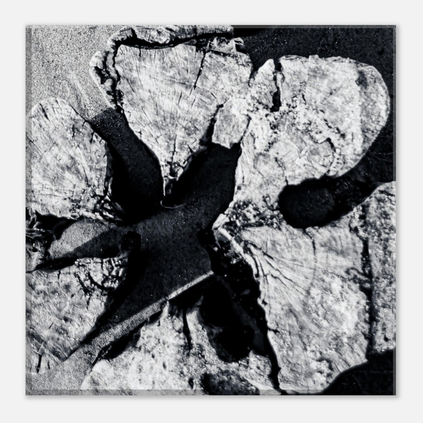 14353453-dab9-46df-bd59-7ffd1d2f2eea