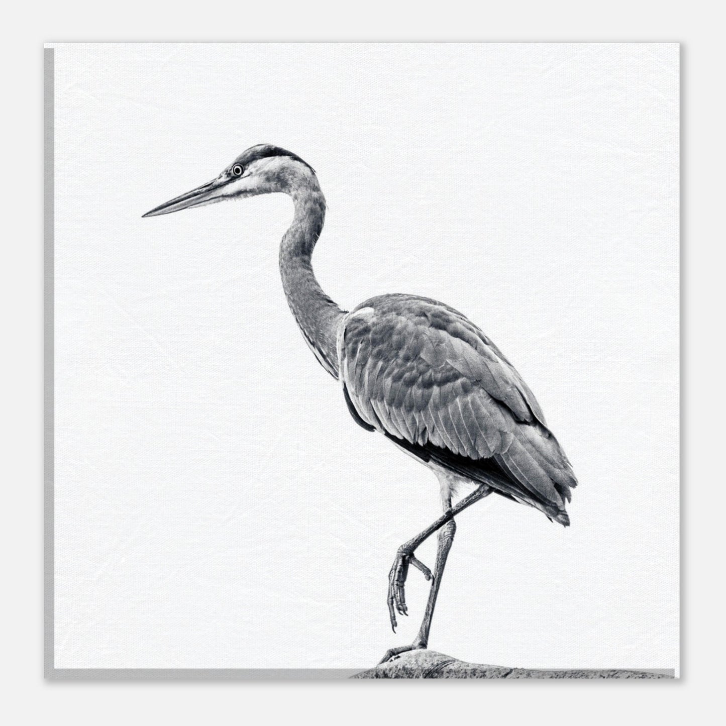 225876c1-51dc-47b1-b6fe-ff40e31709a5