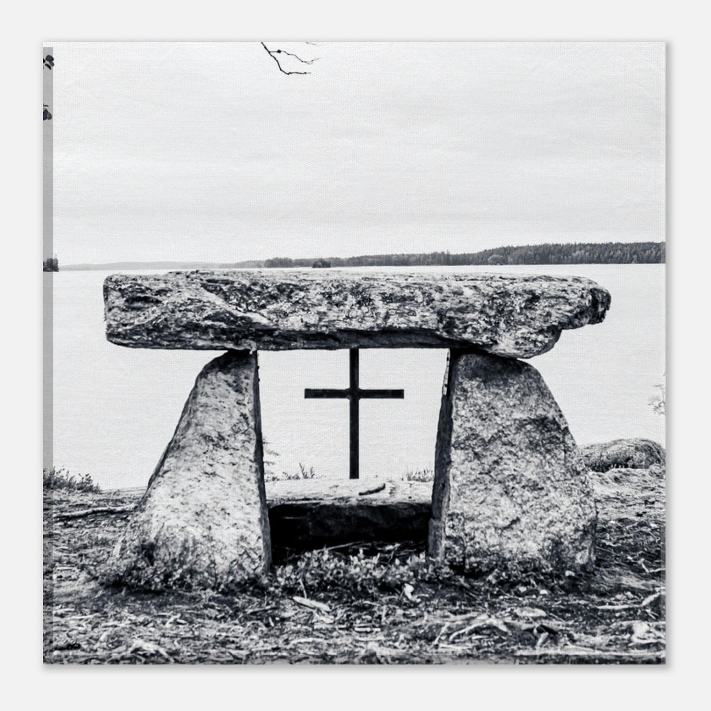 54d85317-156e-42f9-9256-c63df93e7330