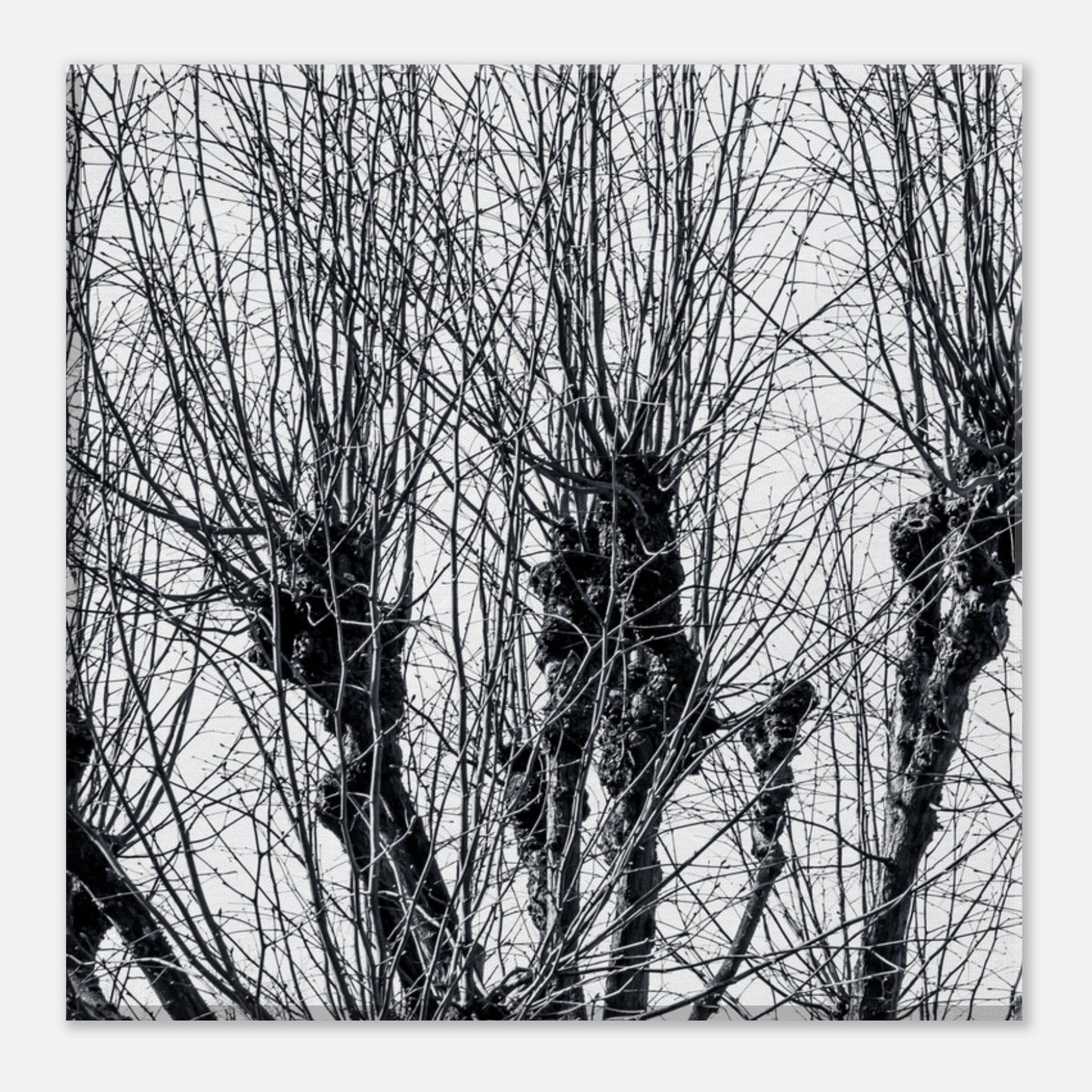 6cc59fe9-49e2-4097-8ffe-16fb5850fc73