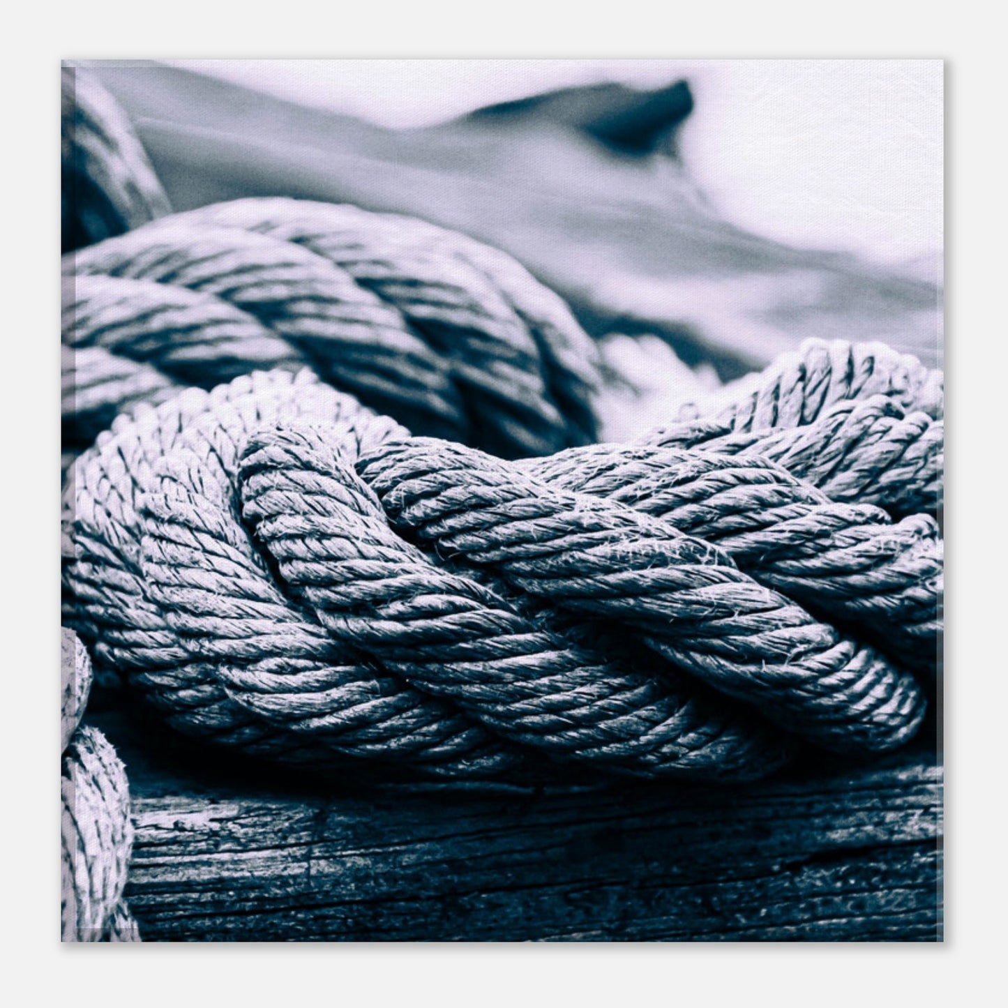 917d7c26-7d4b-4c64-9163-257b1681b5eb