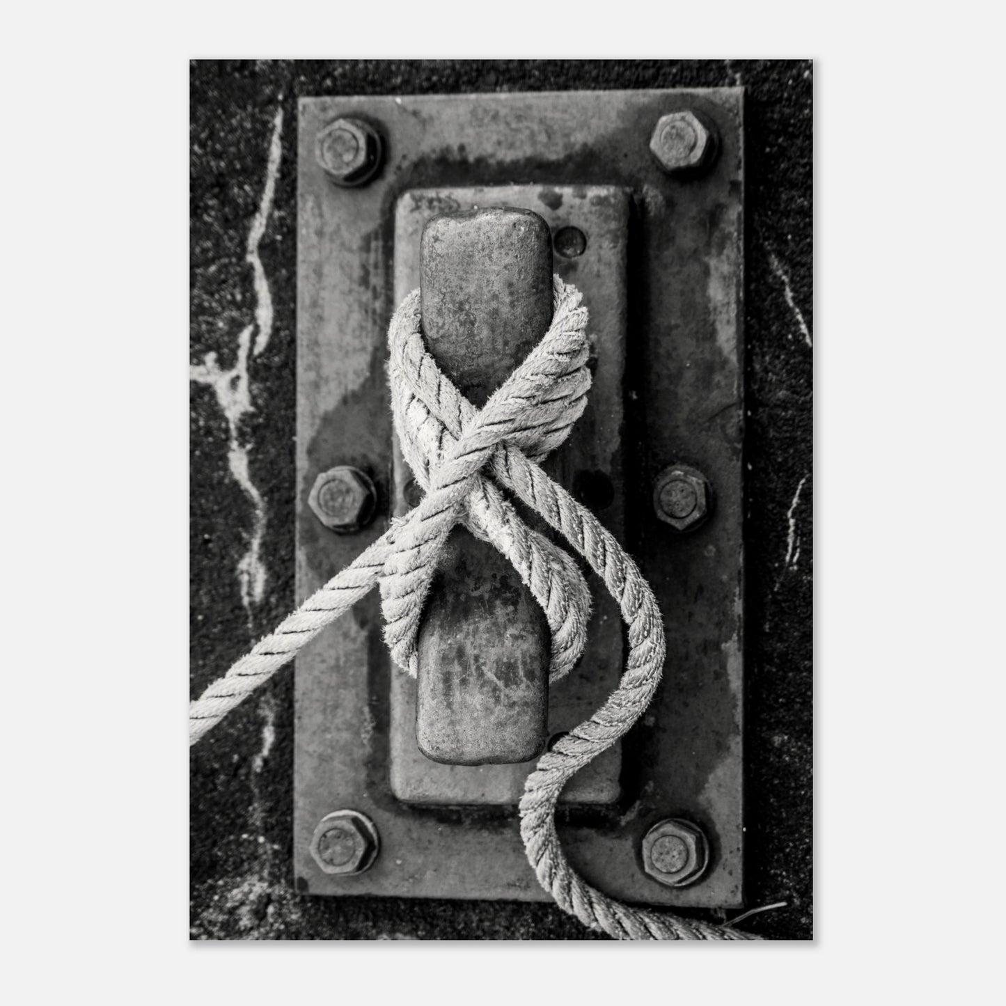 96abf3b5-cbe6-4dbf-9bec-c9e5cecdaac0