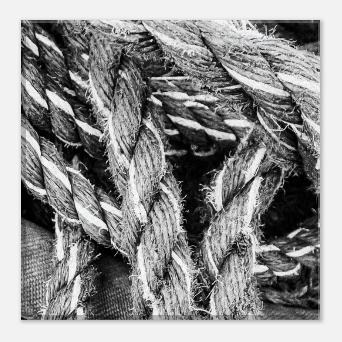 a49adbe3-18f3-4549-8083-b6f55a29933f