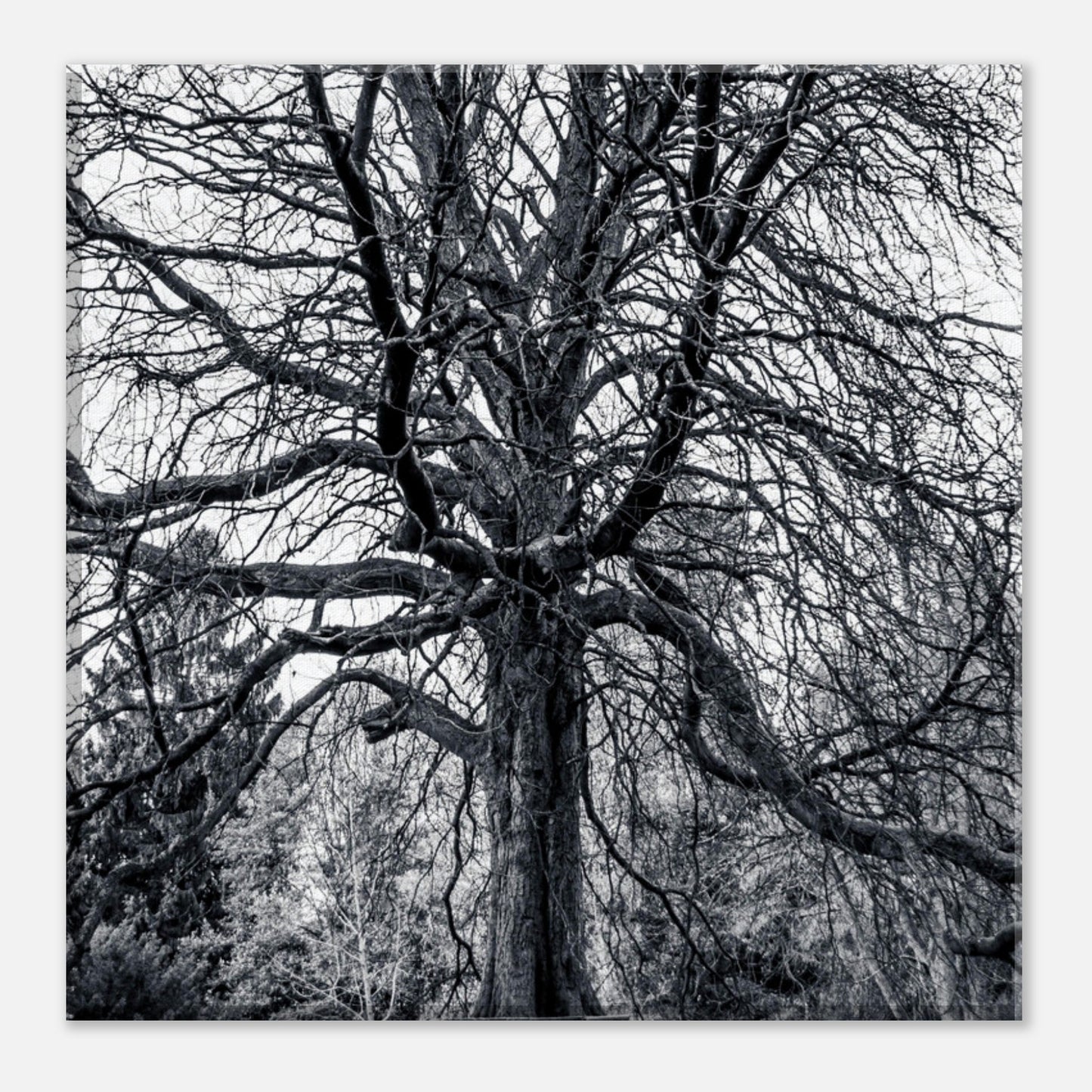 b0f830ce-155d-486d-a954-0fba3489b45d