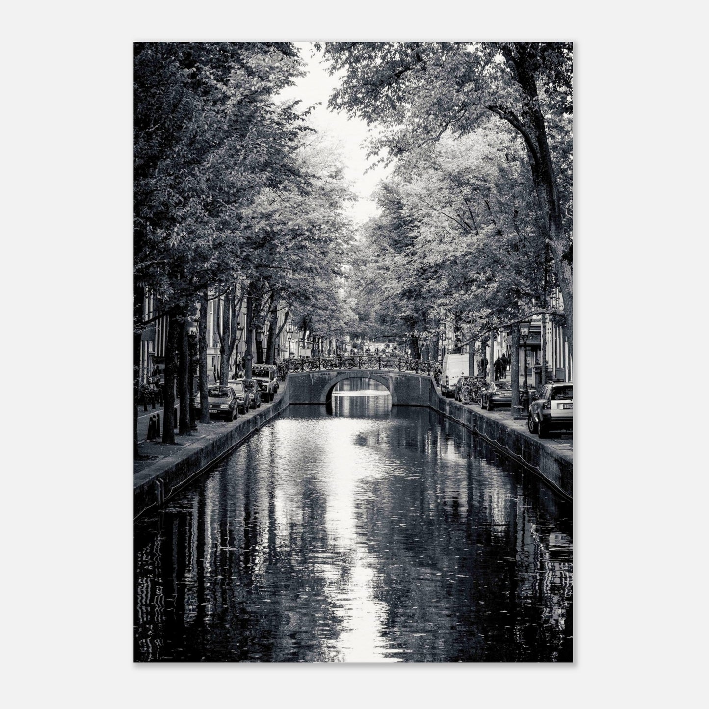 b63c9557-6cf0-4f61-a894-1d07aeee2256