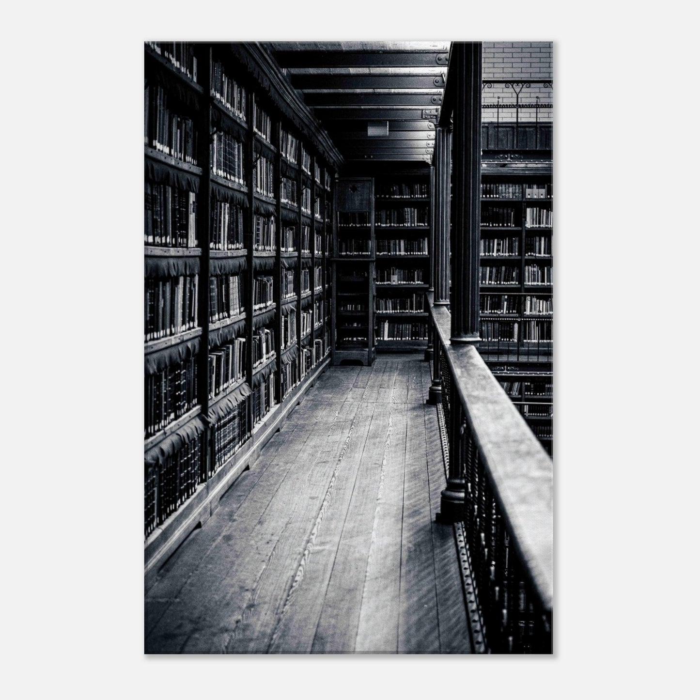 d6b436c3-af09-4c70-9dc4-61fa3a15eba7