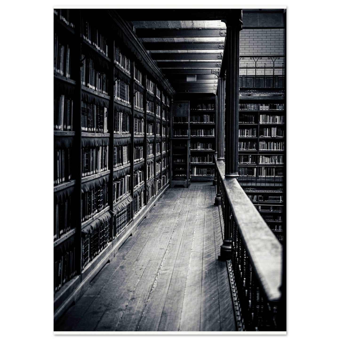 d86b5839-41d1-4506-a248-949fe4e87e0b