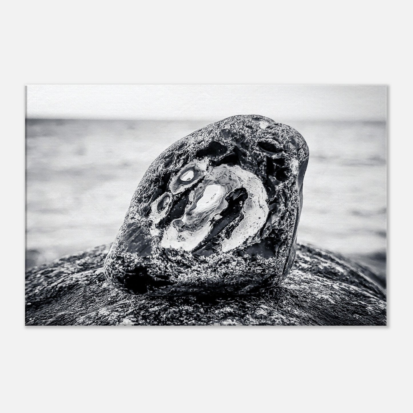 da983bad-3b1c-47a7-a8ff-d60791174f58