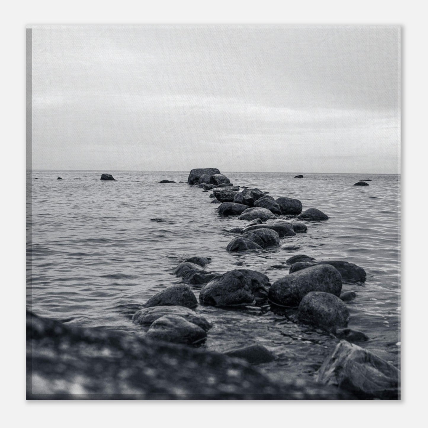 db817ea1-d23a-420c-9cd2-47d5360a7a87