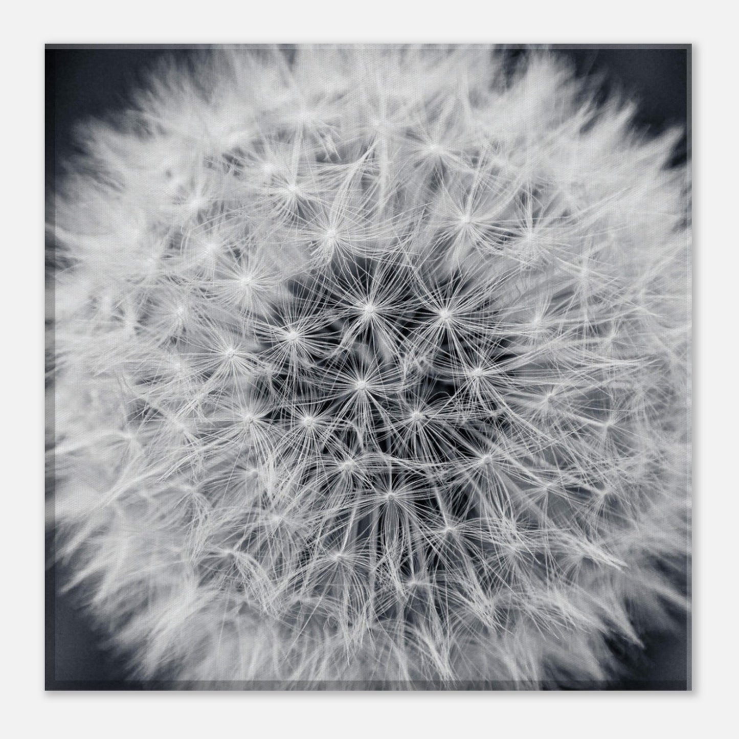 e00be289-3d43-446e-93a8-fbff1cca3391