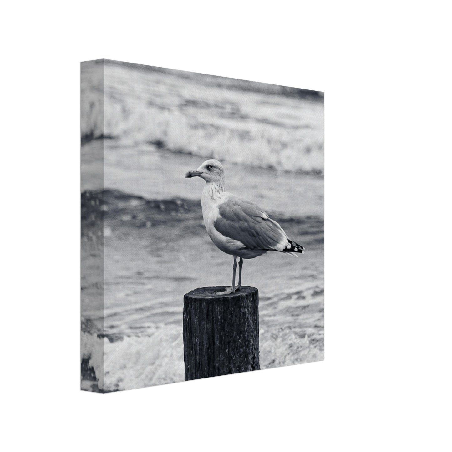 e5f63dc9-9a18-4347-a2c4-4533cdbc0704