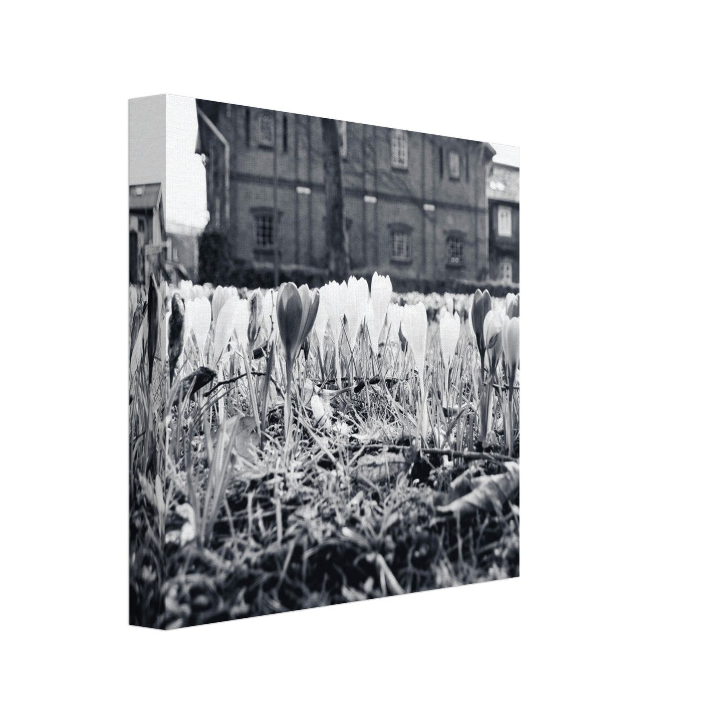 eedcff3e-b2f9-45cc-92a9-e4c86e2ee2a8