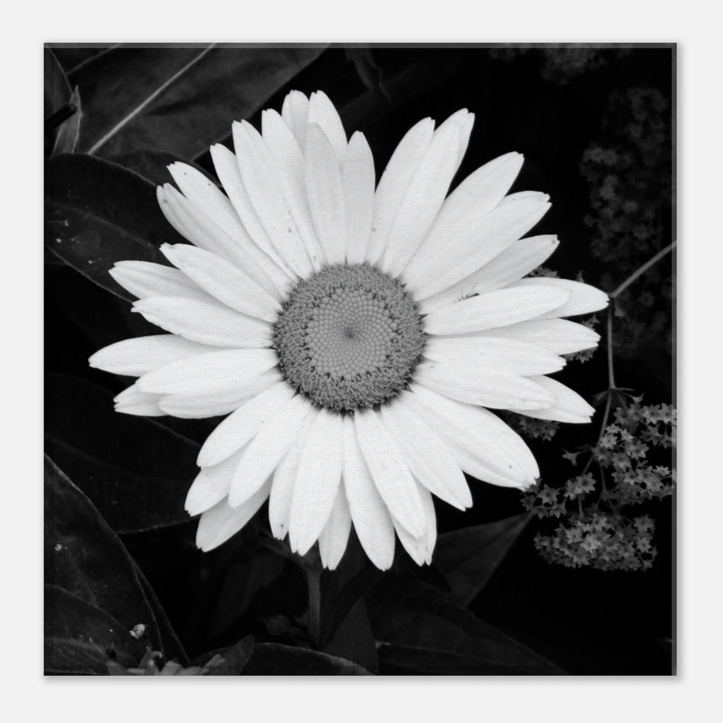 f12a0bbe-cdeb-469b-a052-4ed43c1b7832