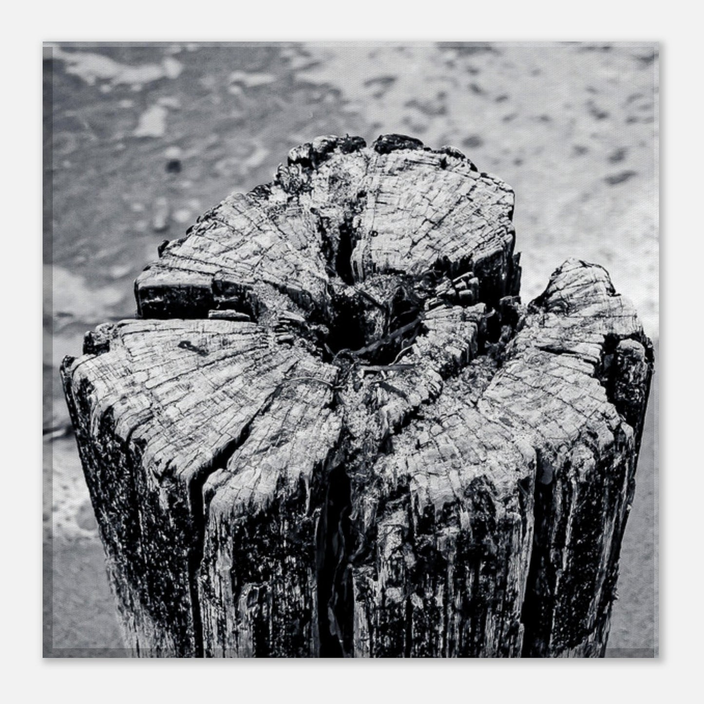 f4436685-a549-4c55-b15e-2105b6b4e628