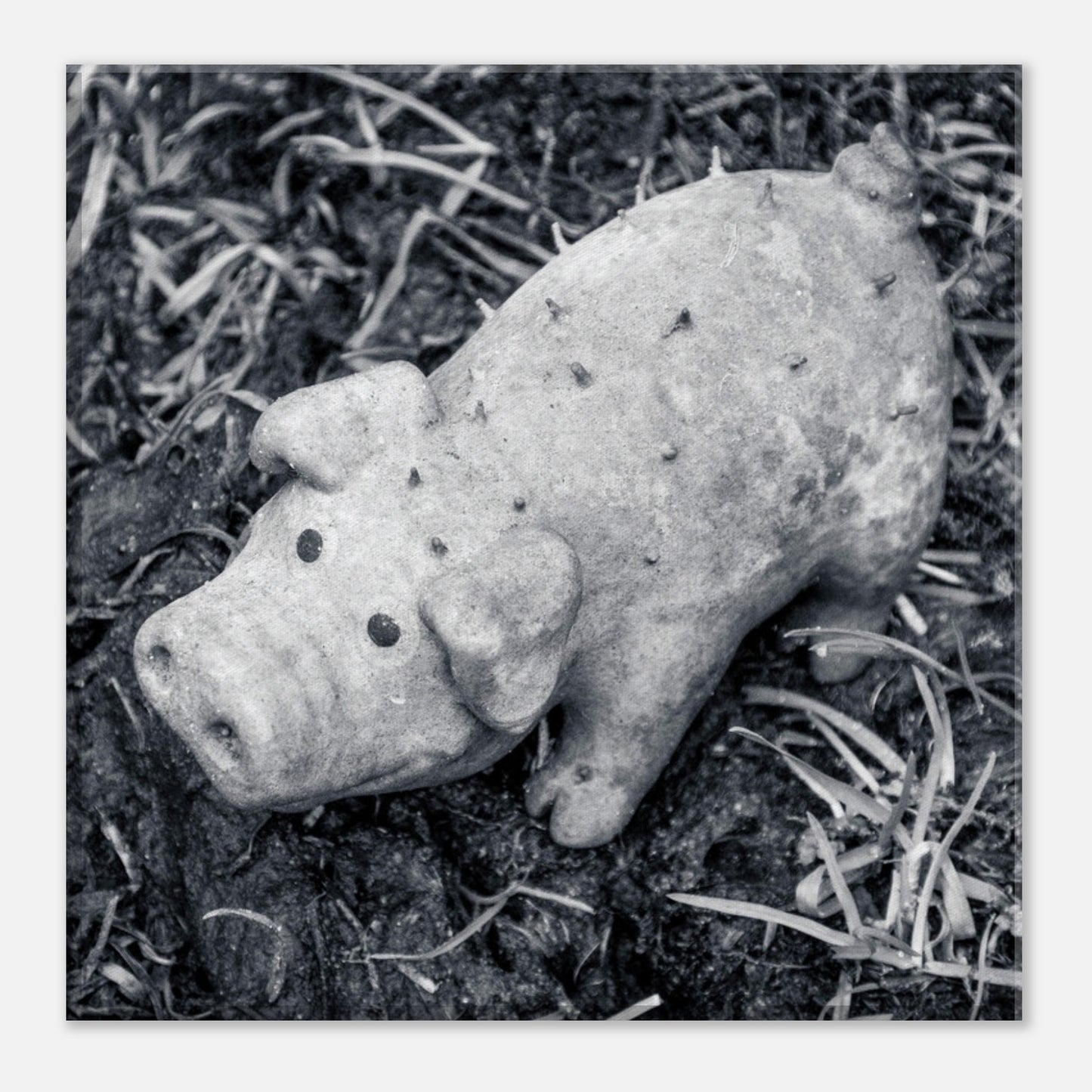 fddcfdd0-7e7c-4648-92e3-508a1afef27c