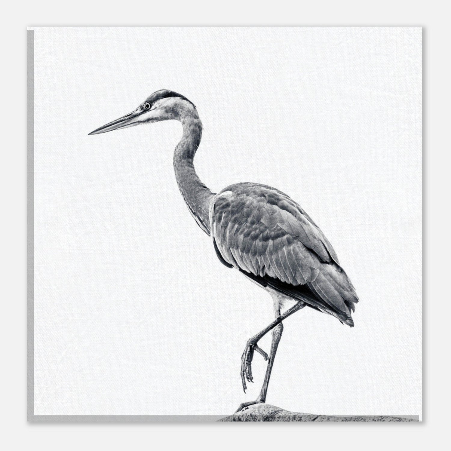 Natur - kleine Bilder (20x20)