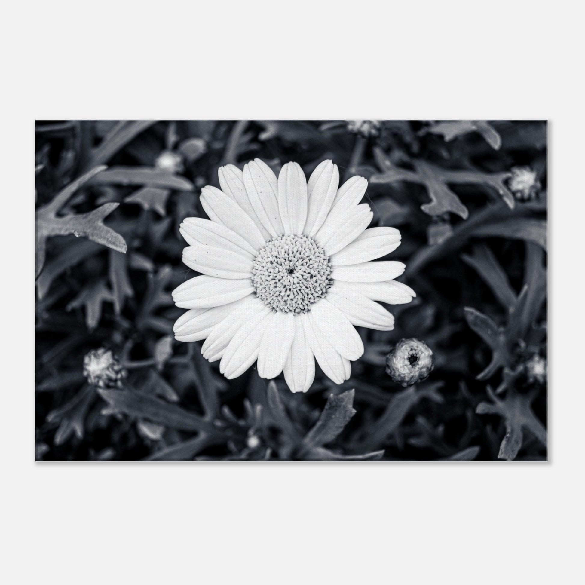 05f12dbb-fbe9-4a19-9172-97a7e5b81f19