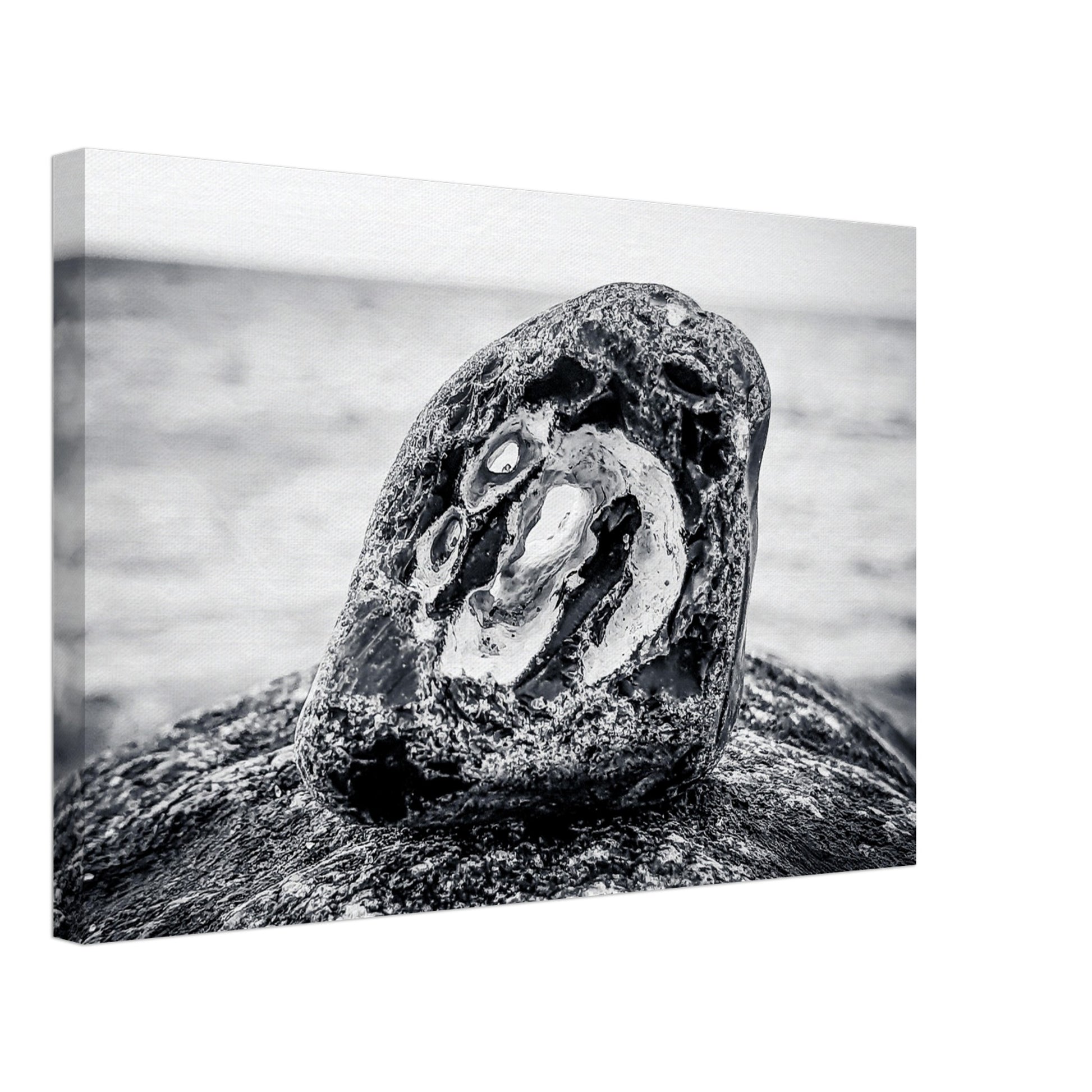 336c4509-aff8-468d-a3c1-f715d8629e1c