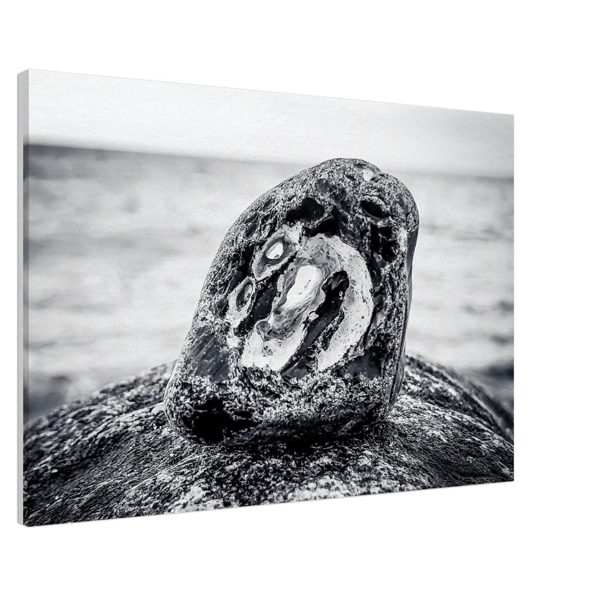 3798695e-d9e7-486e-b7cd-a06aa1e435f1