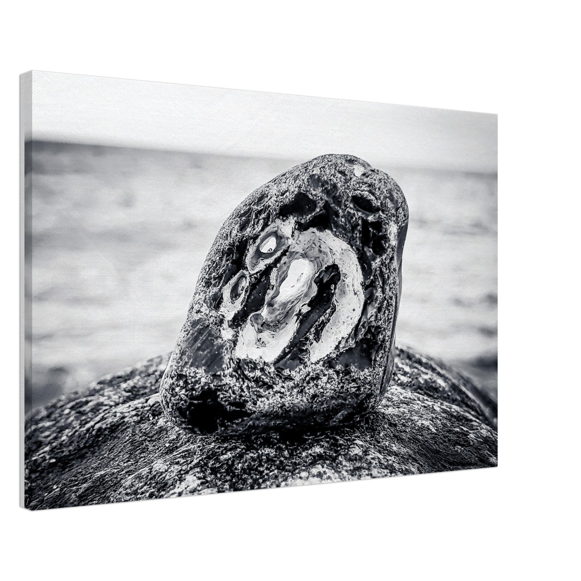 37bbeaf3-798c-47cb-b1f6-fd95aa0b0c9e