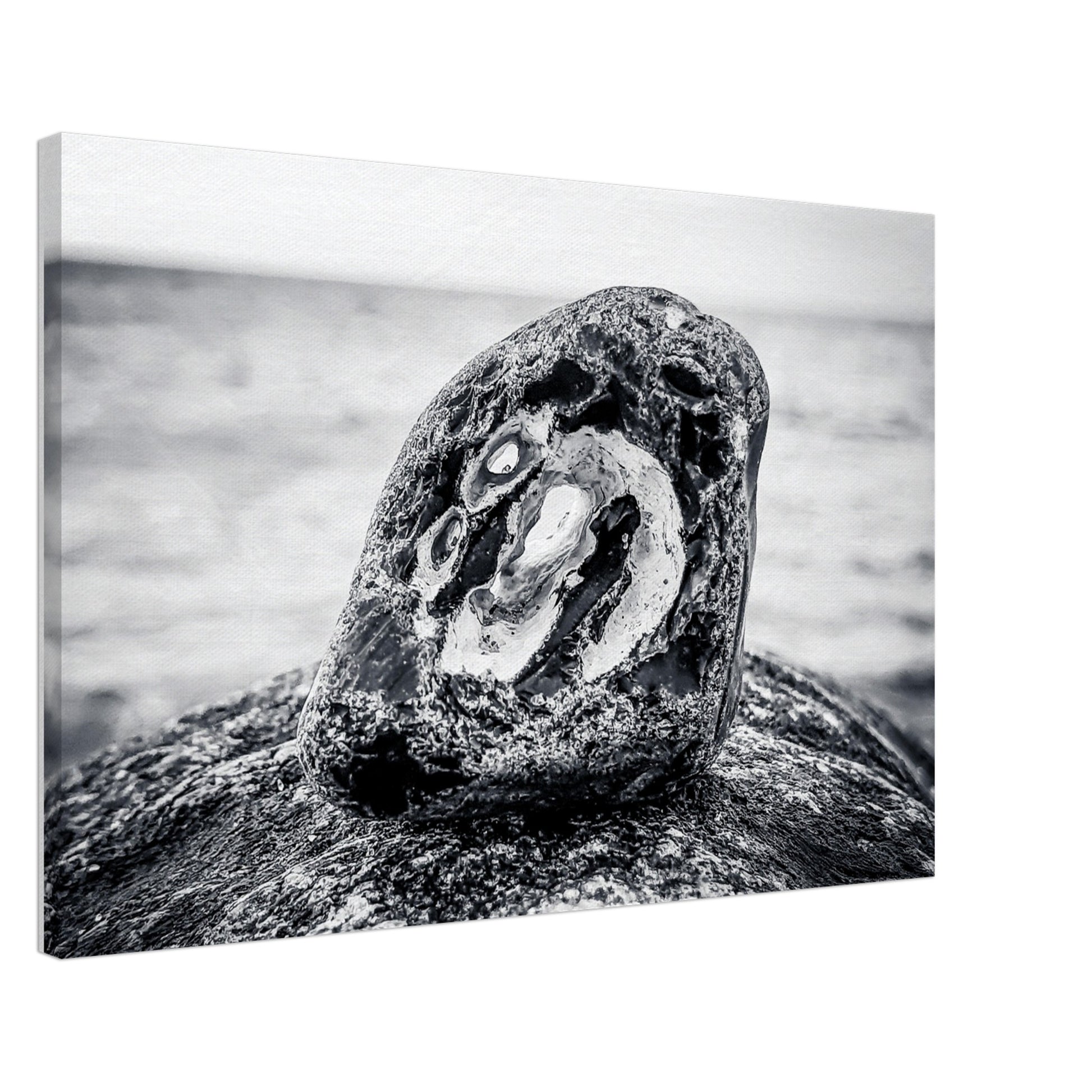 57a7f630-32c1-4d4b-ae86-f279d923c4cf