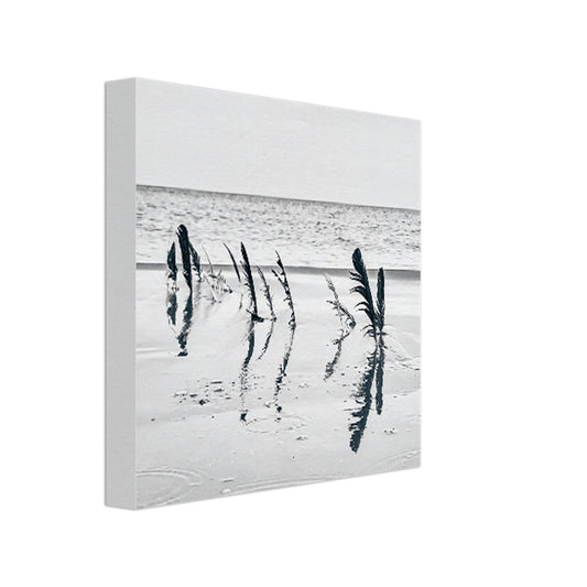 8871bc1d-fe06-42f1-a5a5-ed922b93798e