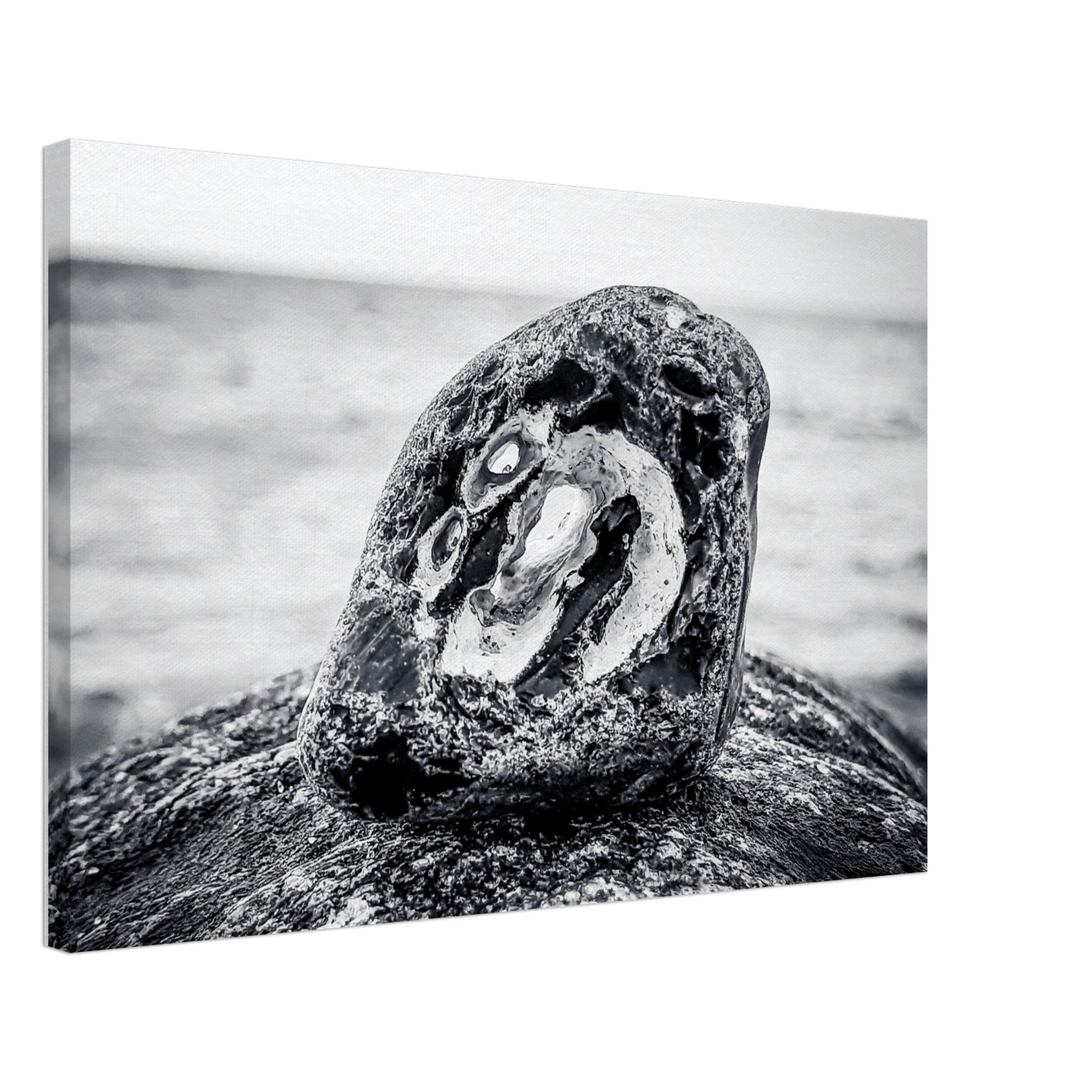 b2f4fa4e-4699-4bd8-9d10-4e61375be2e8